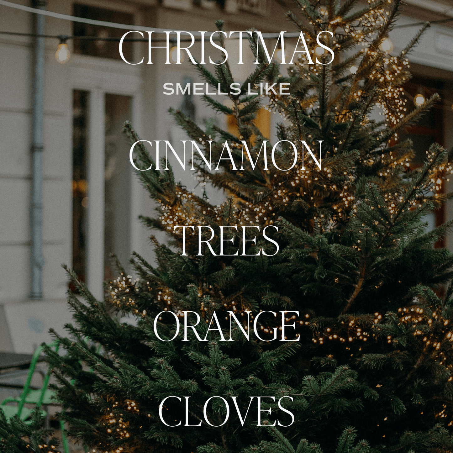 Christmas Tinted Glass Jar Reed Diffuser