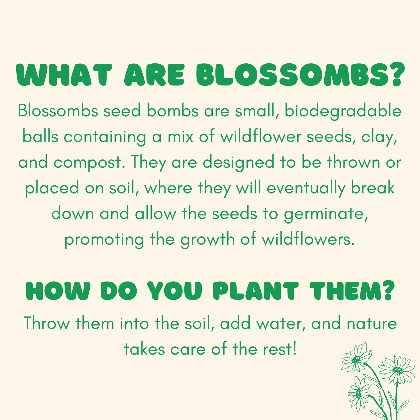 Blossombs Medium Box - Flowers For You - 9 Blossombs