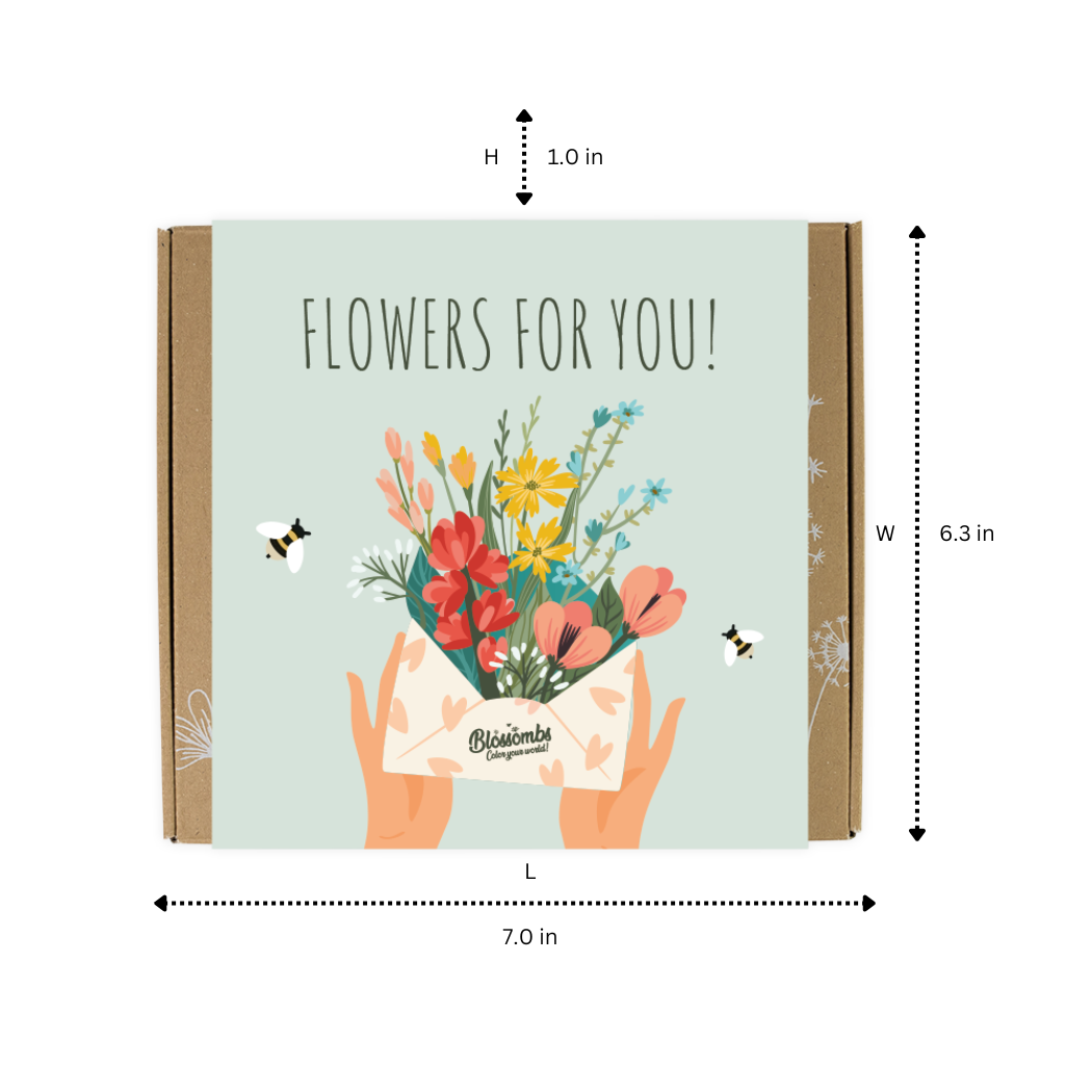 Blossombs Medium Box - Flowers For You - 9 Blossombs
