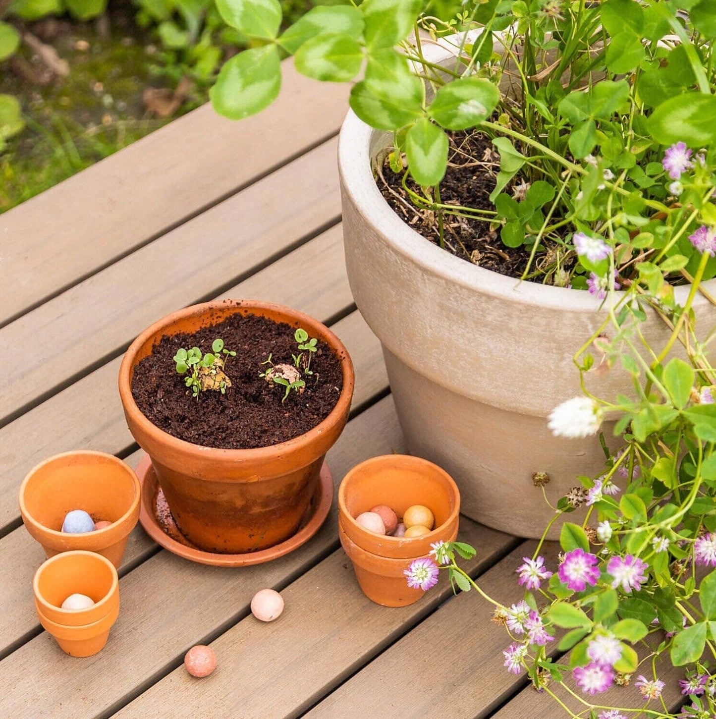 Blossombs Egg Box- Hello Spring- 7 Seed Bomb Balls